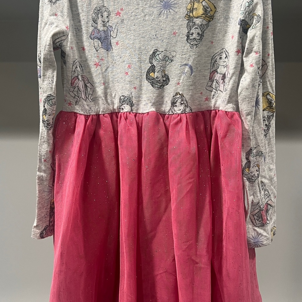 Disney Gray and Pink Dress with Princess Design